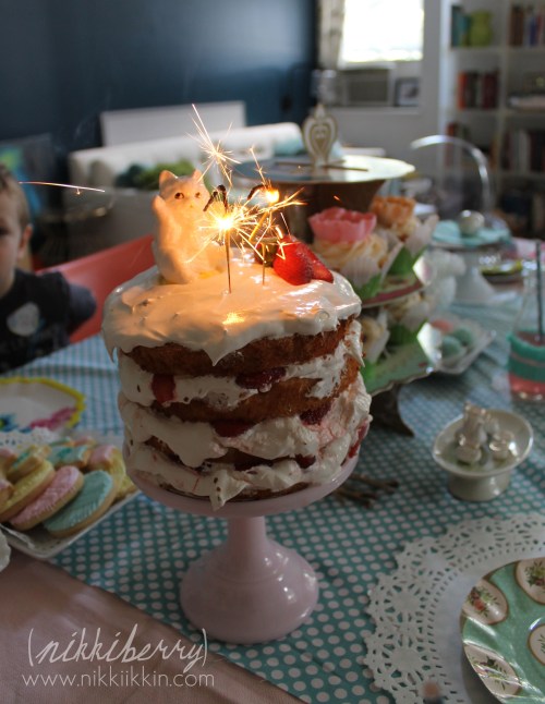 nikkiikkin cat lady party 14