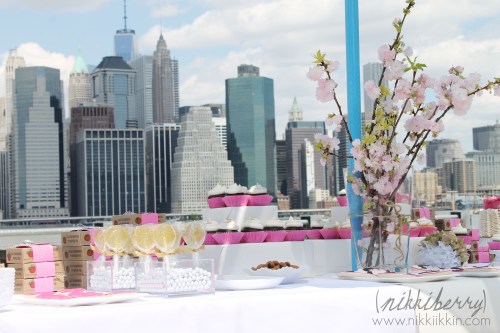 nikkiikkin zoe party 2